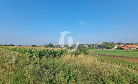 Działka budowlana- Raciborowice, gm. Michałowice