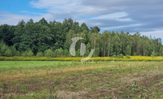 Działka inwestycyjna Czernichów 3,86 ha