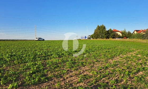 dzialka przy Owocowym Wzgórzu, blisko Kórnik