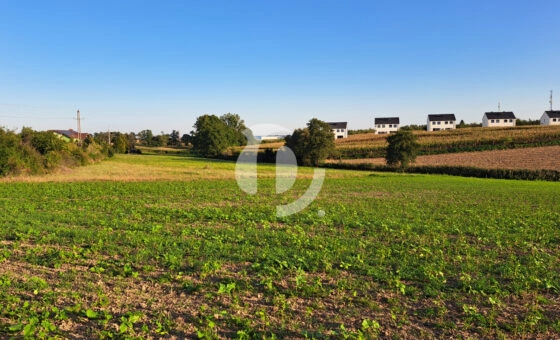 dzialka przy Owocowym Wzgórzu, blisko Kórnik