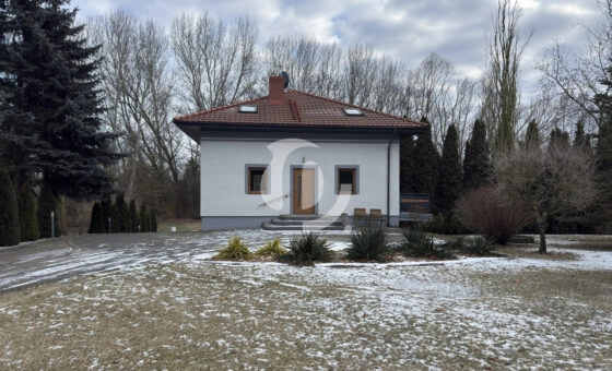 Dom na wynajem w Kazimierzu Biskupim.