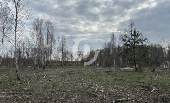 Idealna działka pod budowę domu! Gmina Wodzierady