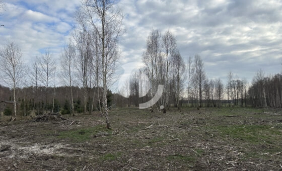 Idealna działka pod budowę domu! Gmina Wodzierady