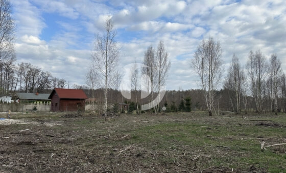 Idealna działka pod budowę domu! Gmina Wodzierady