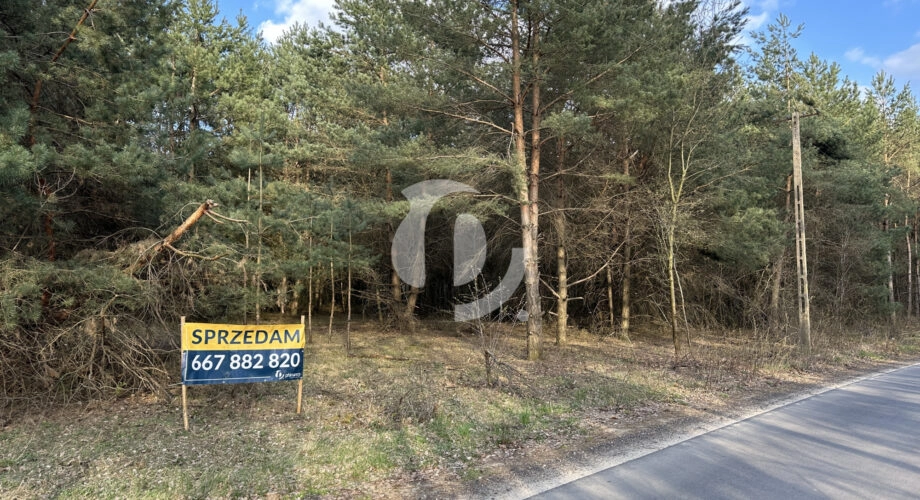 Spokój, przestrzeń i potencjał – działka 2472 m2