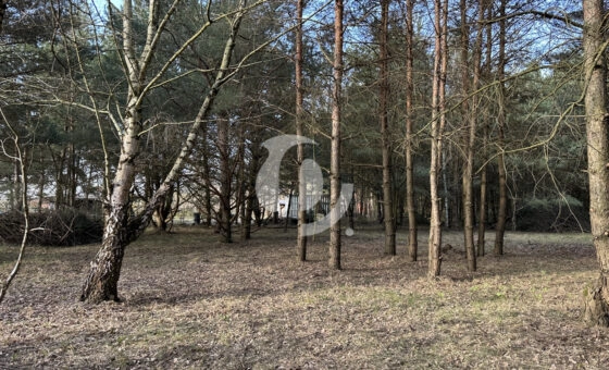 Spokój, przestrzeń i potencjał – działka 2472 m2