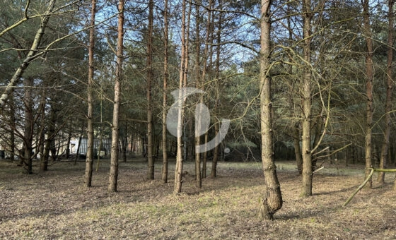 Spokój, przestrzeń i potencjał – działka 2472 m2