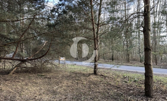 Spokój, przestrzeń i potencjał – działka 2472 m2