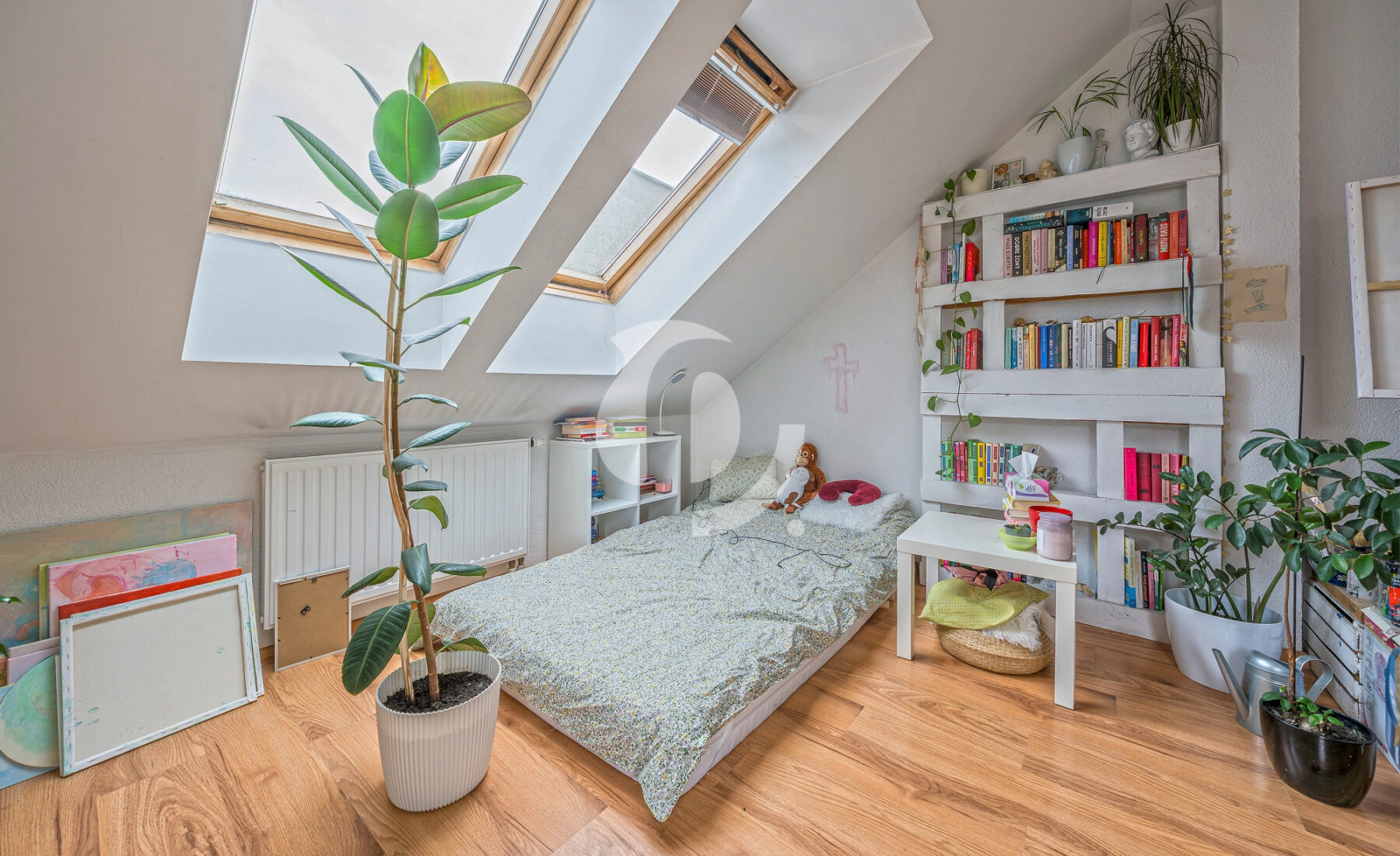 Kowale, 3-pokojowe, osobna kuchnia