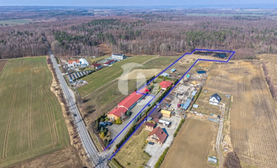 1,6ha działka, dom, infrastruktura dla koni