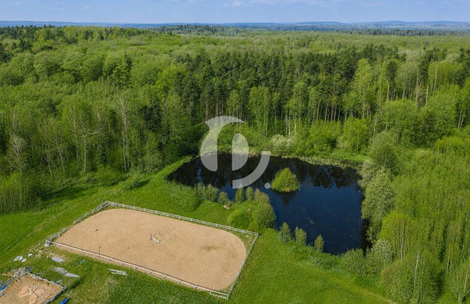 1,6ha działka, dom, infrastruktura dla koni