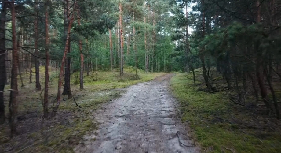 Działka leśna 1084m2 | pod Warszawą