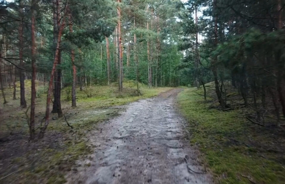 Działka leśna 1084m2 | pod Warszawą