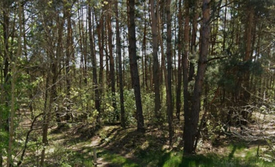 Działka leśna 1084m2 | pod Warszawą