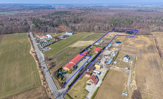 Dom z własnym stawem| 1,65 ha |20 min od Gdańska