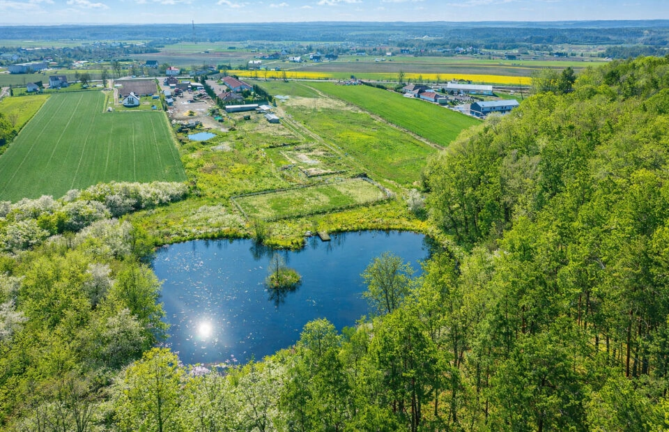 Dom z własnym stawem| 1,65 ha |20 min od Gdańska
