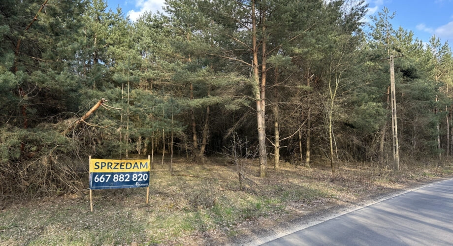 Spokój, przestrzeń i potencjał – działka 2472 m2
