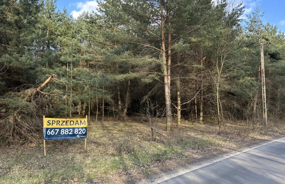Spokój, przestrzeń i potencjał – działka 2472 m2
