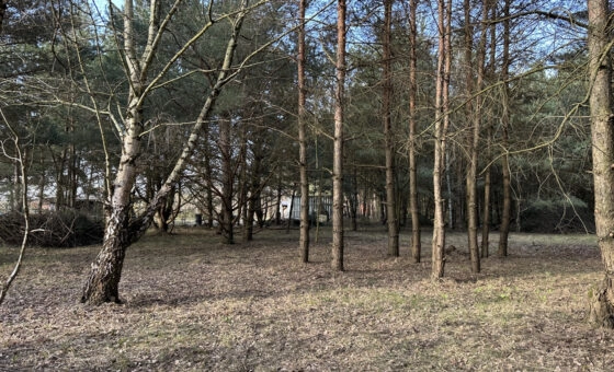 Spokój, przestrzeń i potencjał – działka 2472 m2