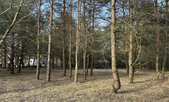 Spokój, przestrzeń i potencjał – działka 2472 m2