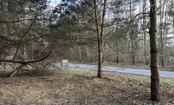 Spokój, przestrzeń i potencjał – działka 2472 m2