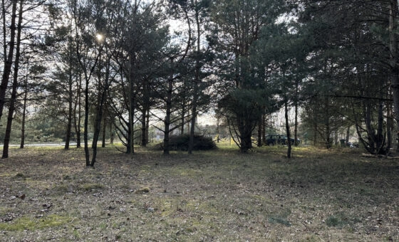 Spokój, przestrzeń i potencjał – działka 2472 m2