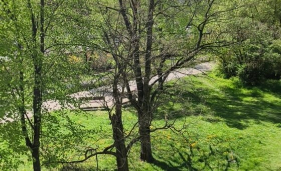 widok na park | 3 pokojowe dla rodziny