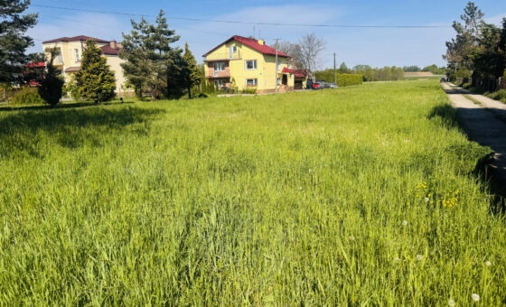 Działka budowlana - Rogi (Miejsce Piastowe)