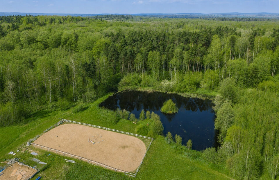 1,65 HA | Staw | Konie | Potencjał inwestycyjny |