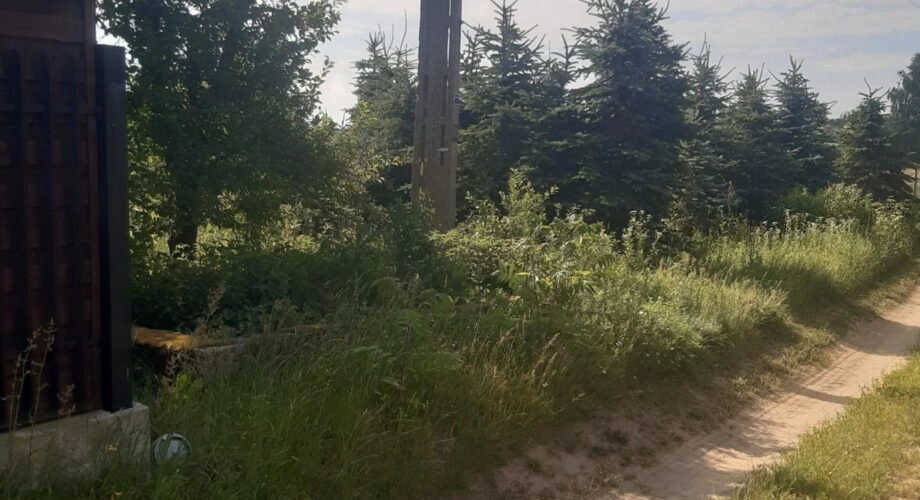 Stare Zawady, 1800m2, działka w kształcie trapezu.