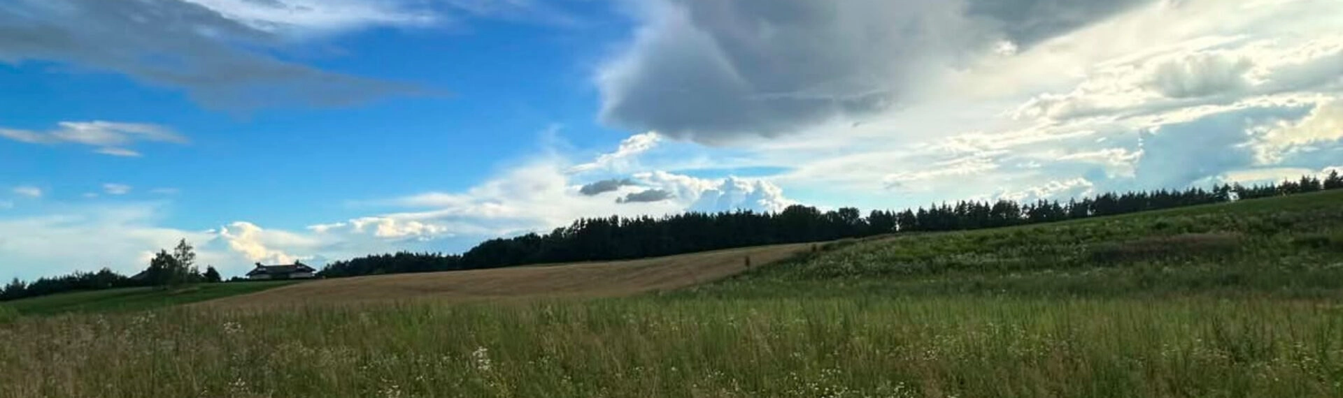 Działka bud. 3.451m2, MPZP, tylko 1 km od jeziora