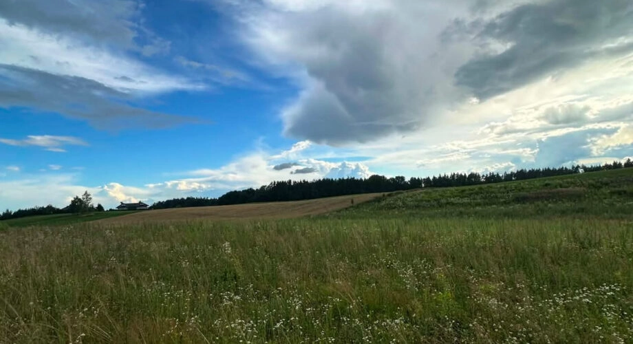 Działka bud. 3.451m2, MPZP, tylko 1 km od jeziora