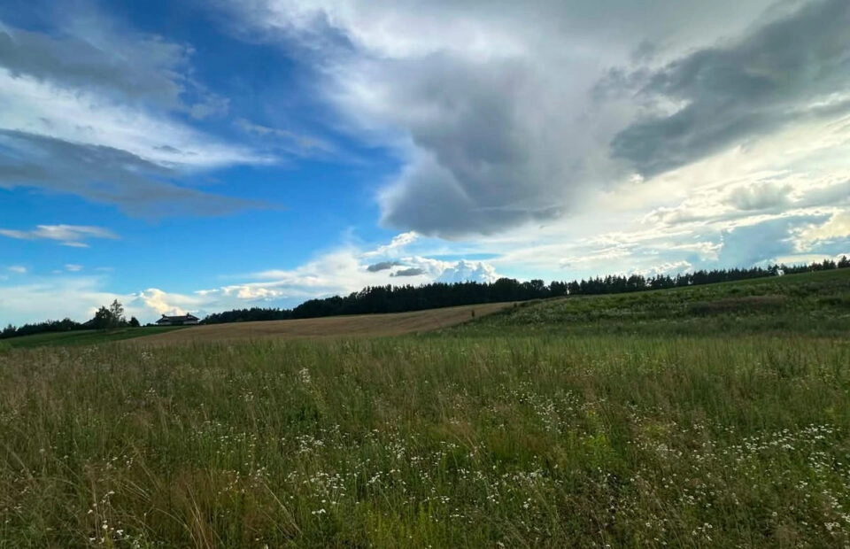 Działka bud. 3.451m2, MPZP, tylko 1 km od jeziora
