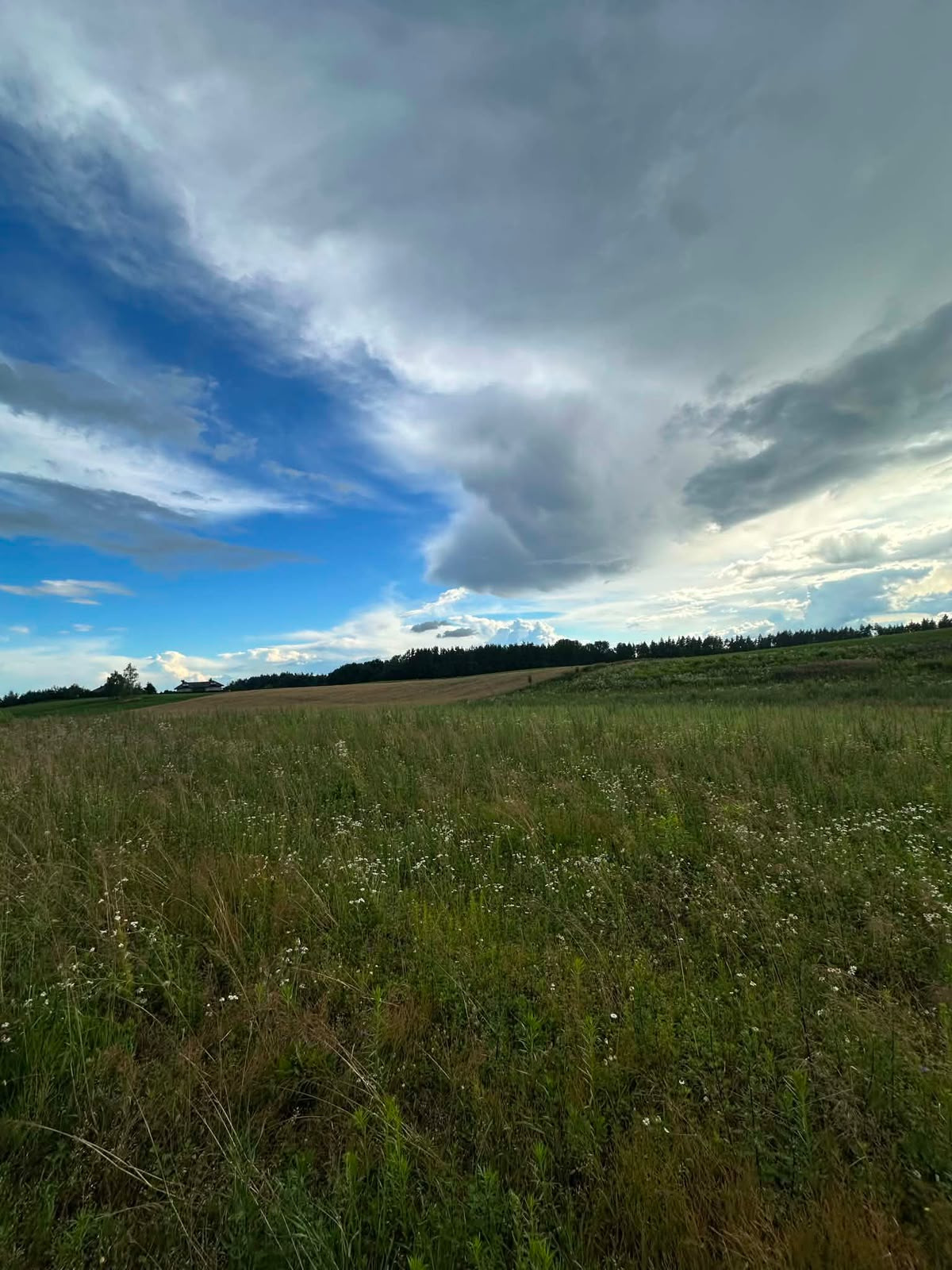 Działka bud. 3.451m2, MPZP, tylko 1 km od jeziora