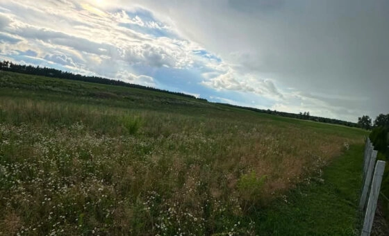 Działka bud. 3.451m2, MPZP, tylko 1 km od jeziora