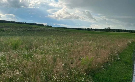 Działka bud. 3.451m2, MPZP, tylko 1 km od jeziora