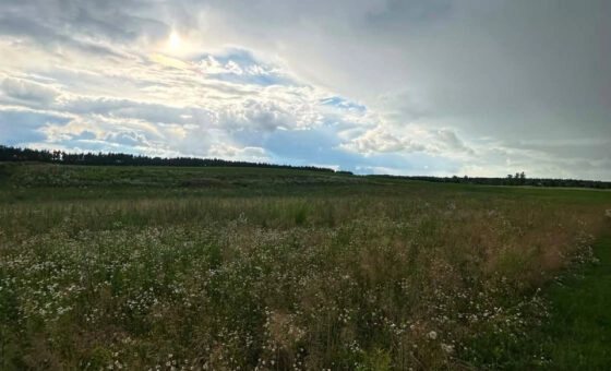 Działka bud. 3.451m2, MPZP, tylko 1 km od jeziora