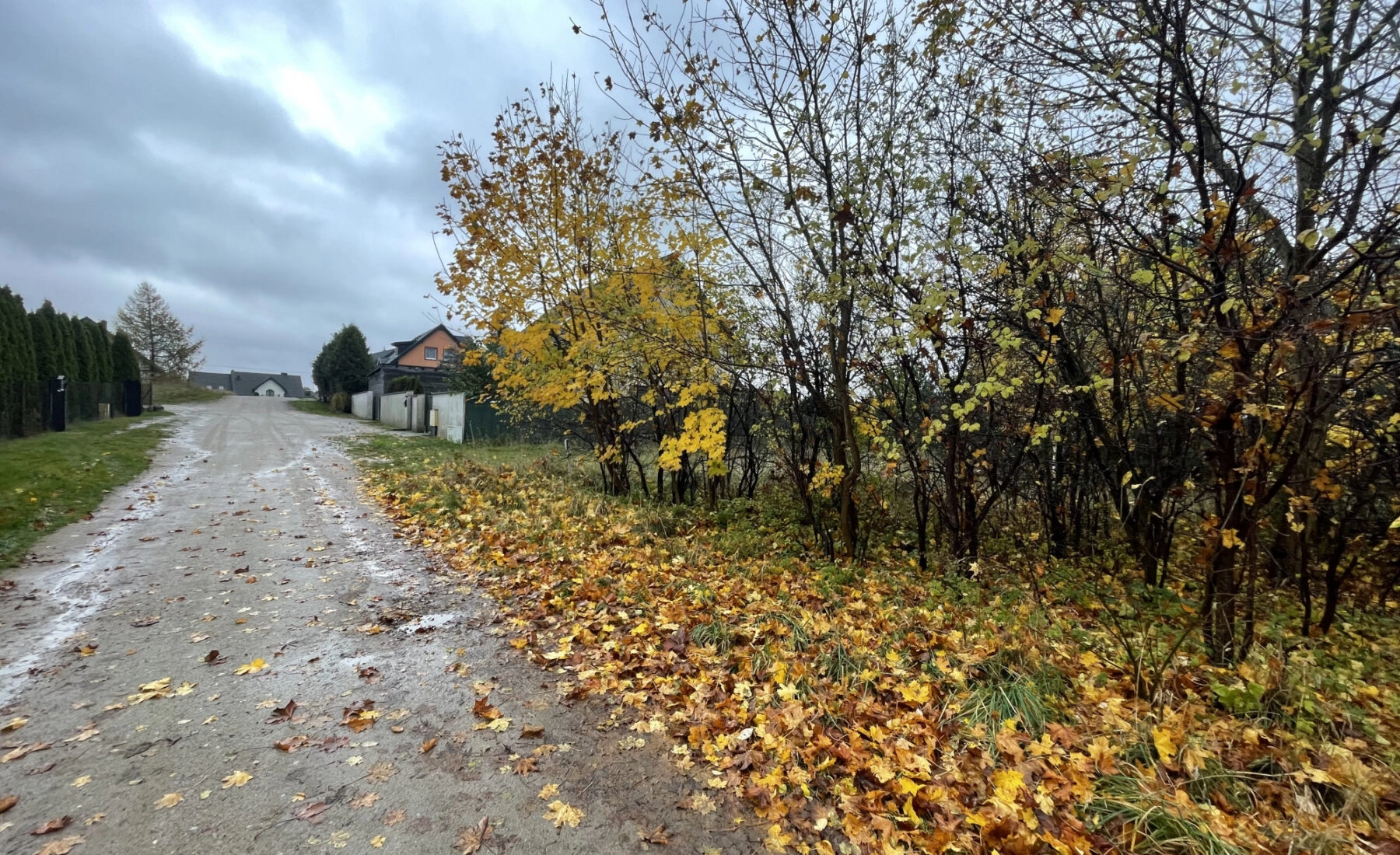 Gowino, ul. Południowa