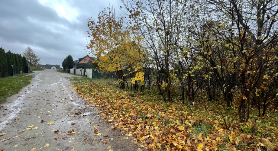 Gowino, ul. Południowa