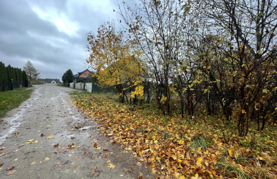 Gowino, ul. Południowa