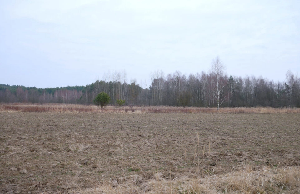 Działka 29,48 ar, Z UZYSKANYMI WARUNKAMI ZABUDOWY