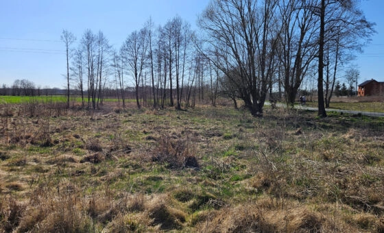 Na sprzedaż działka budowlana – 15 ar