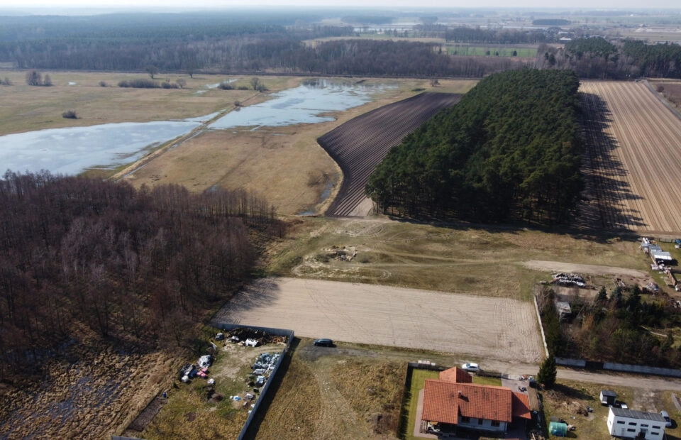 Duża działka budowlana Murzynowo Leśne