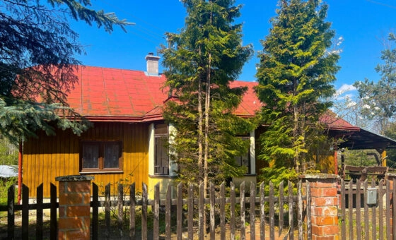 Siedlisko z drewnianym domem w Kobylanach.
