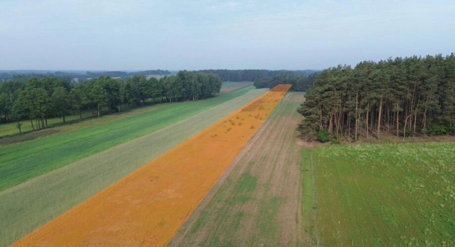 Na sprzedaż: 7 działek z MPZP – Kępina
