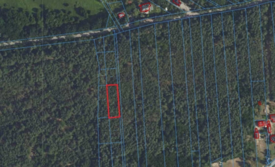 Działka leśna 1245m2 | 20 min od Warszawy