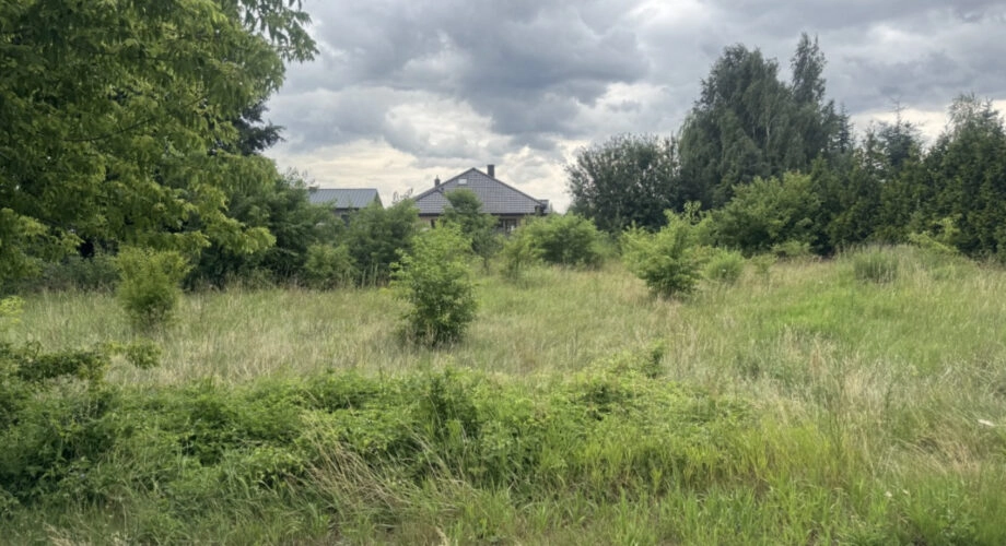 Brużyczka Mała / Aleksandrów działka bud. 1.442 m2