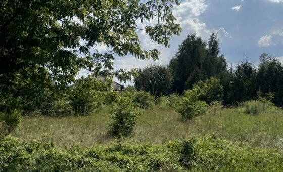 Brużyczka Mała / Aleksandrów działka bud. 1.442 m2