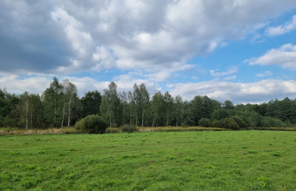 Działka inwestycyjna Czernichów 3,86 ha