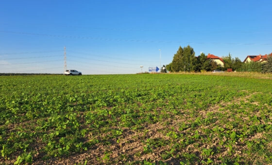 Działka budowlana 834 m² | MPZP: dom lub usługi |